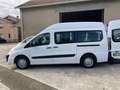 Fiat Scudo 2.0 mjt 120cv- AUTOLIFT- TRASPORTO DISABILI Wit - thumbnail 11