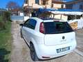Fiat Punto 5p 1.2 Young Weiß - thumbnail 6