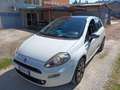 Fiat Punto 5p 1.2 Young Weiß - thumbnail 1