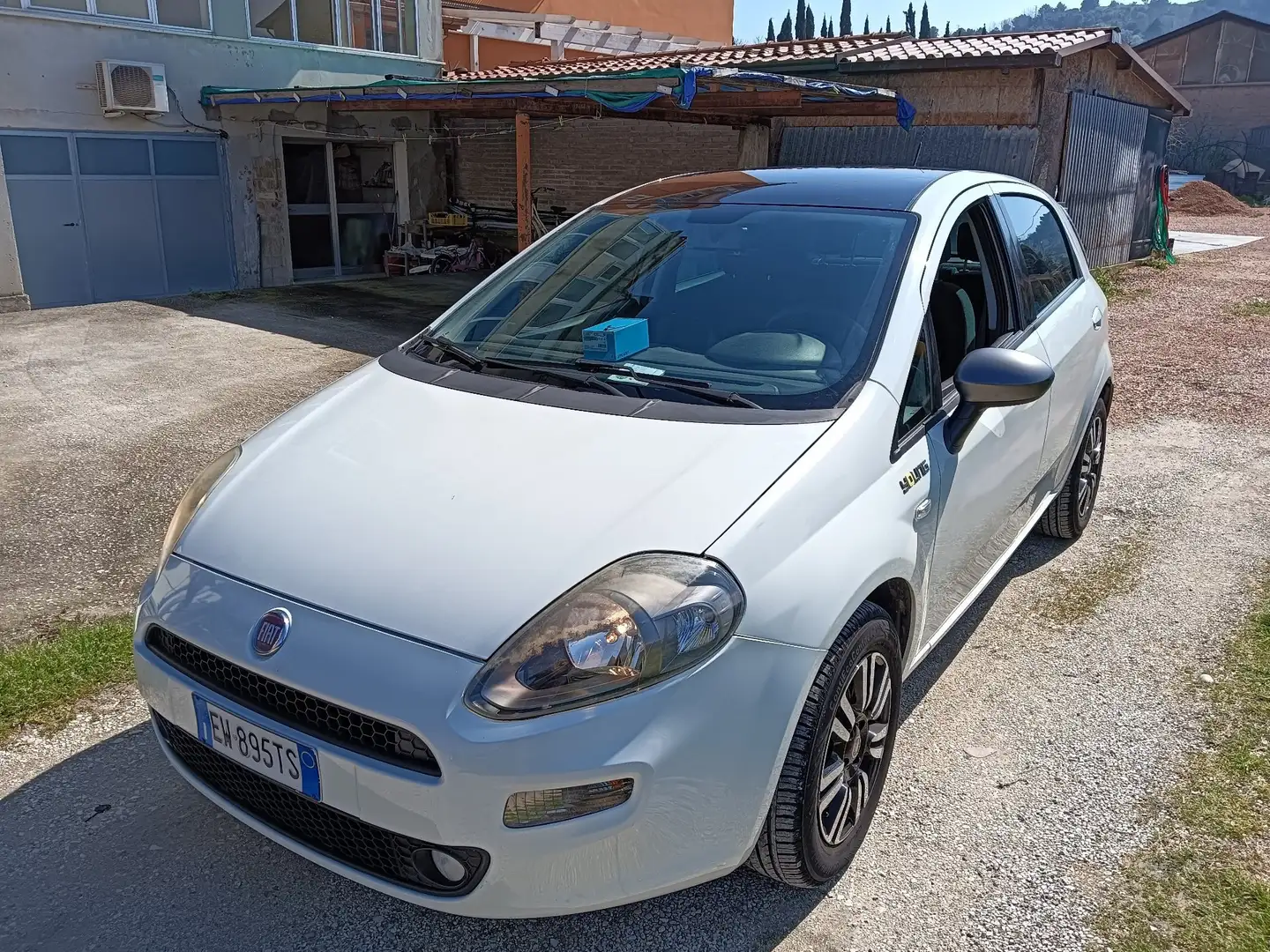 Fiat Punto 5p 1.2 Young Weiß - 1