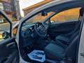 Fiat Punto Evo Punto III 2011 Evo 3p 1.2 Dynamic s Bianco - thumbnail 7