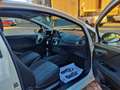 Fiat Punto Evo Punto III 2011 Evo 3p 1.2 Dynamic s Bianco - thumbnail 9