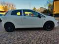 Fiat Punto Evo Punto III 2011 Evo 3p 1.2 Dynamic s Bianco - thumbnail 4