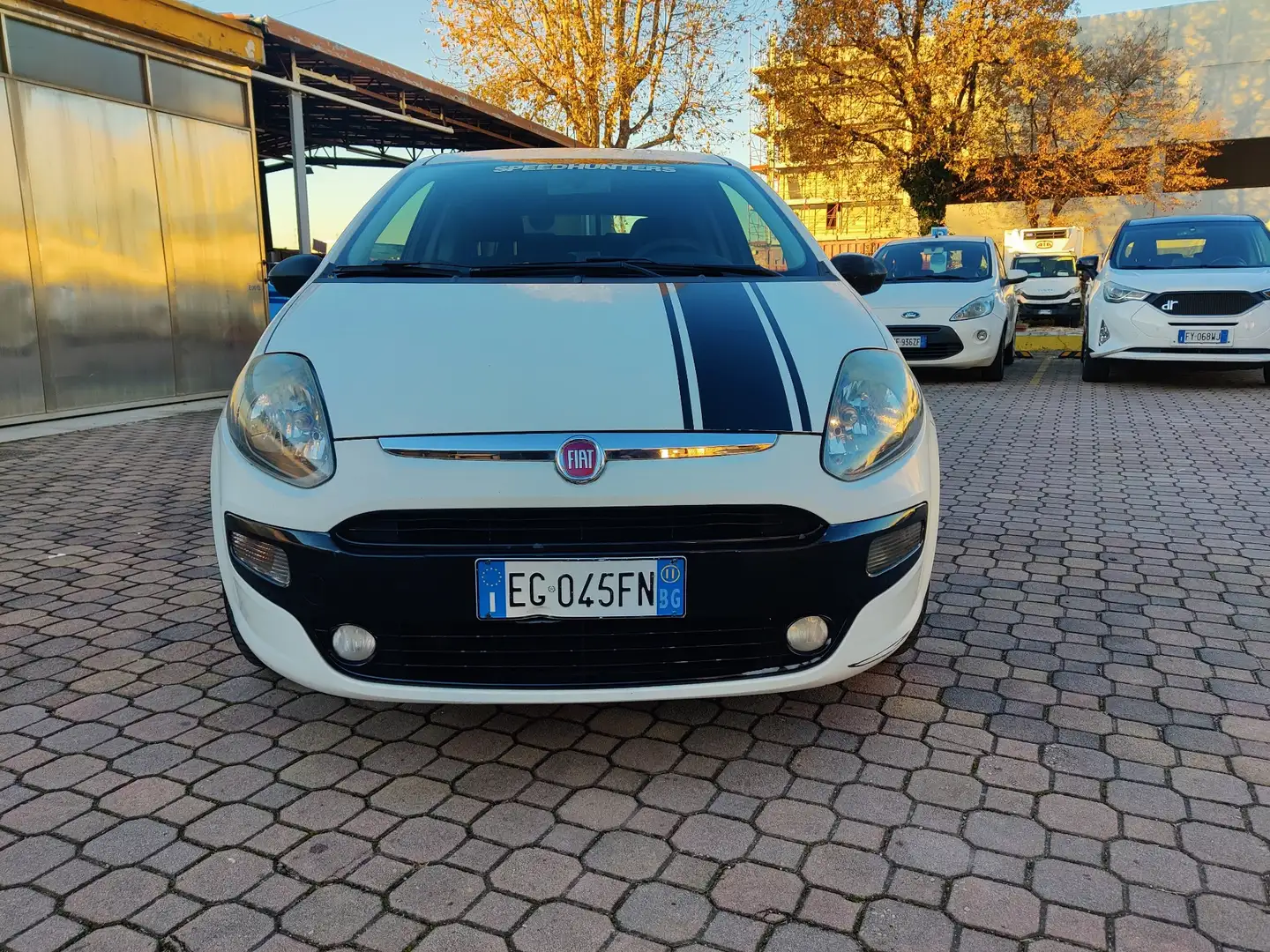 Fiat Punto Evo Punto III 2011 Evo 3p 1.2 Dynamic s Bianco - 2