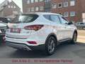 Hyundai SANTA FE Trend 2WD*1.HAND*Tüv* Blanc - thumbnail 9