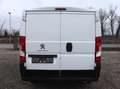 Peugeot Boxer L1H1 Kasten/€ 14.900,-netto/ TEMP KLIMA Weiß - thumbnail 5