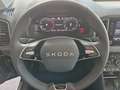 Skoda Karoq 4x4 Selection TDI DSG "AHV" prompt lieferbar Schwarz - thumbnail 9