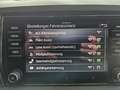 Skoda Karoq 4x4 Selection TDI DSG "AHV" prompt lieferbar Schwarz - thumbnail 15