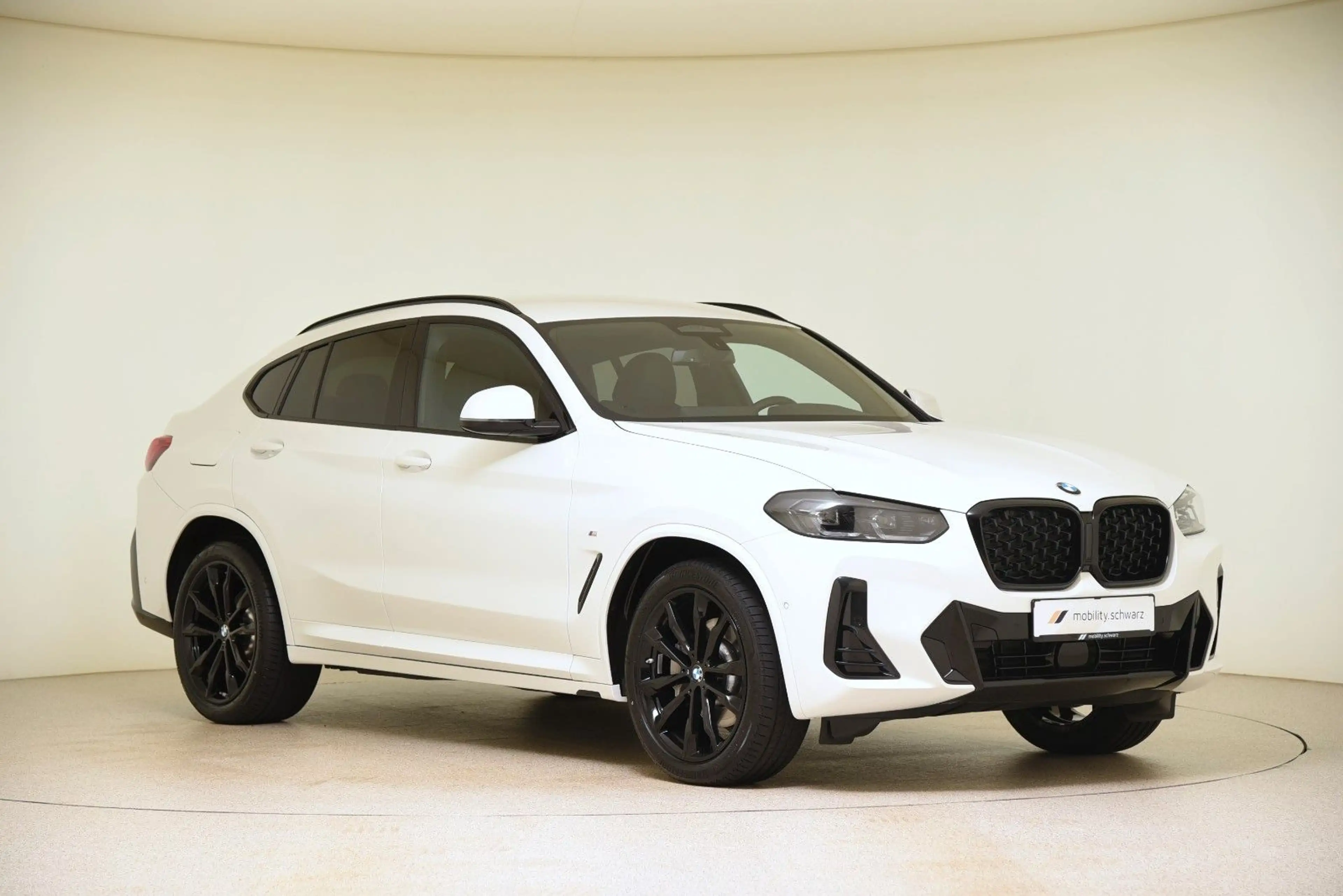 BMW X4 xDrive30d M Sport StandHzg AHK HiFi LED Alarm — photo 4