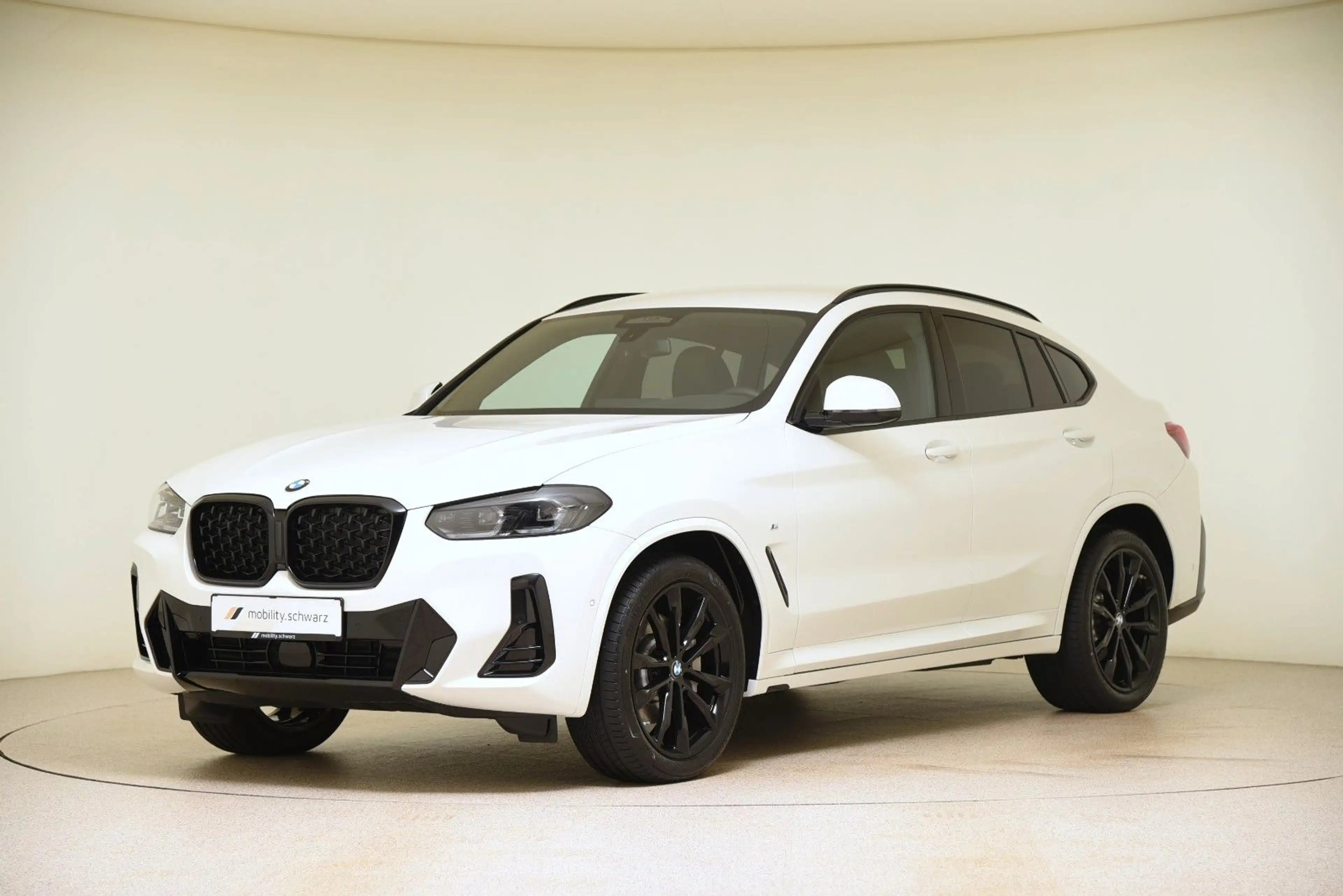 BMW X4 xDrive30d M Sport StandHzg AHK HiFi LED Alarm