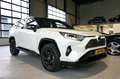 Toyota RAV 4 2.5 Hybrid Bi-Tone | 360° CAMERA | STOELVERWARMING Wit - thumbnail 38