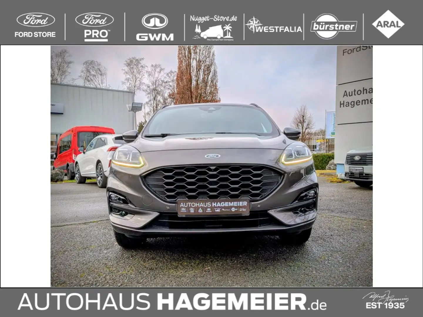 Ford Kuga ST-Line X 2.0 Ecoblue AWD Aut. Grau - 2