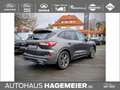 Ford Kuga ST-Line X 2.0 Ecoblue AWD Aut. Grau - thumbnail 4