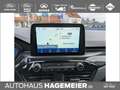 Ford Kuga ST-Line X 2.0 Ecoblue AWD Aut. Grau - thumbnail 10