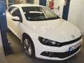 Volkswagen Scirocco Scirocco 2.0 TDI Weiß - thumbnail 2