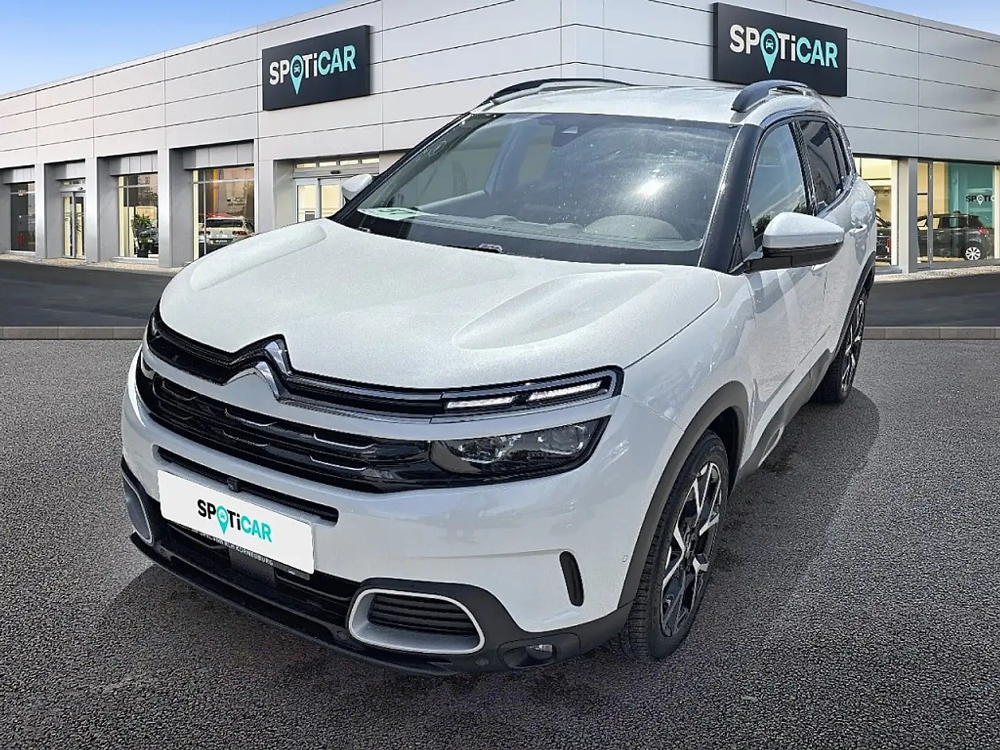 Citroen C5 Aircross BlueHDI 130 S&S Shine EAT8 Aut. Blanc - 1
