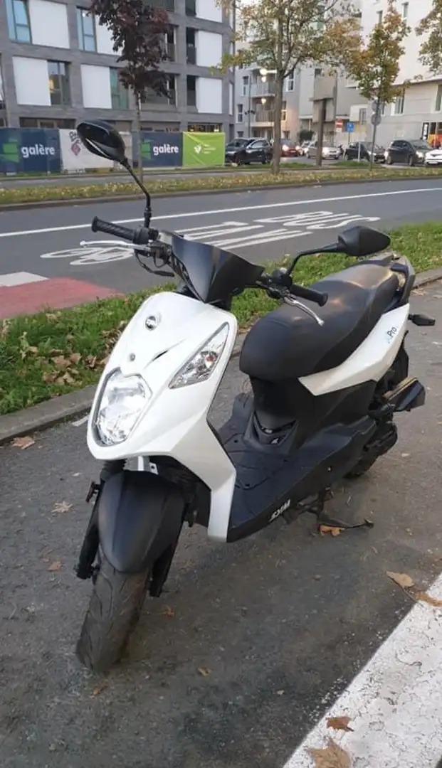 SYM Crox 50 demare direct nouveau moteur nickel - 2