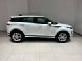 Land Rover Range Rover Evoque 2.0D I4 163 CV AWD Auto S N1 IVA inclusa! Bianco - thumbnail 8