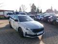 Skoda Octavia Combi 2.0 TDI Sportl. AHK Standhzg.Head Grau - thumbnail 19