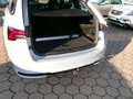Skoda Octavia Combi 2.0 TDI Sportl. AHK Standhzg.Head Grau - thumbnail 17