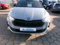 Skoda Octavia Combi 2.0 TDI Sportl. AHK Standhzg.Head Grau - thumbnail 20