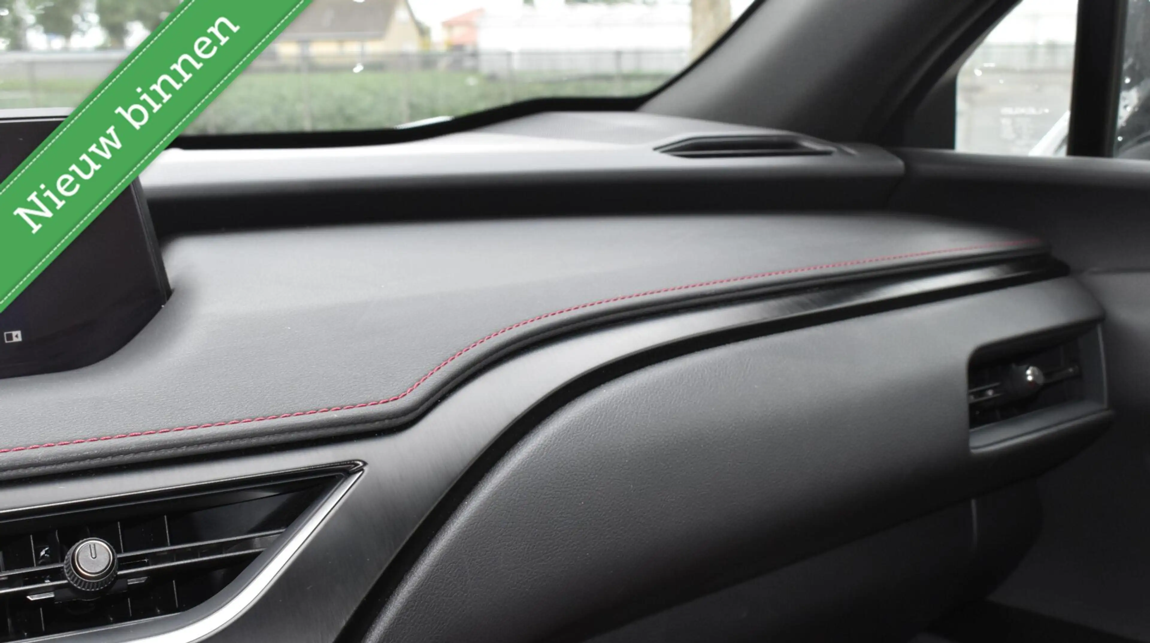 Lexus UX 250h F Sport PANORAMADAK/HEAD UP/LEDER/ETC.! — photo 29