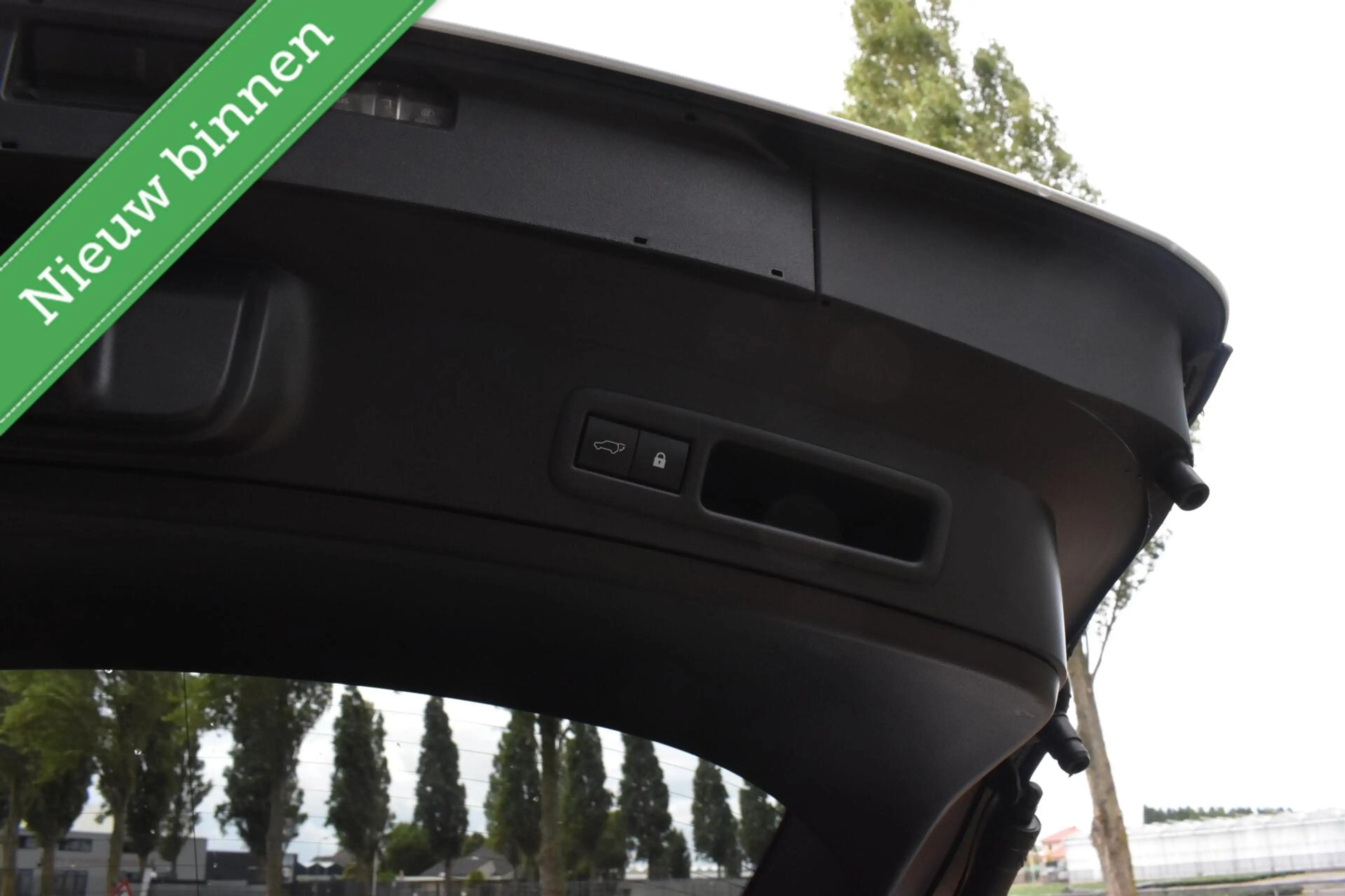 Lexus UX 250h F Sport PANORAMADAK/HEAD UP/LEDER/ETC.! — photo 26