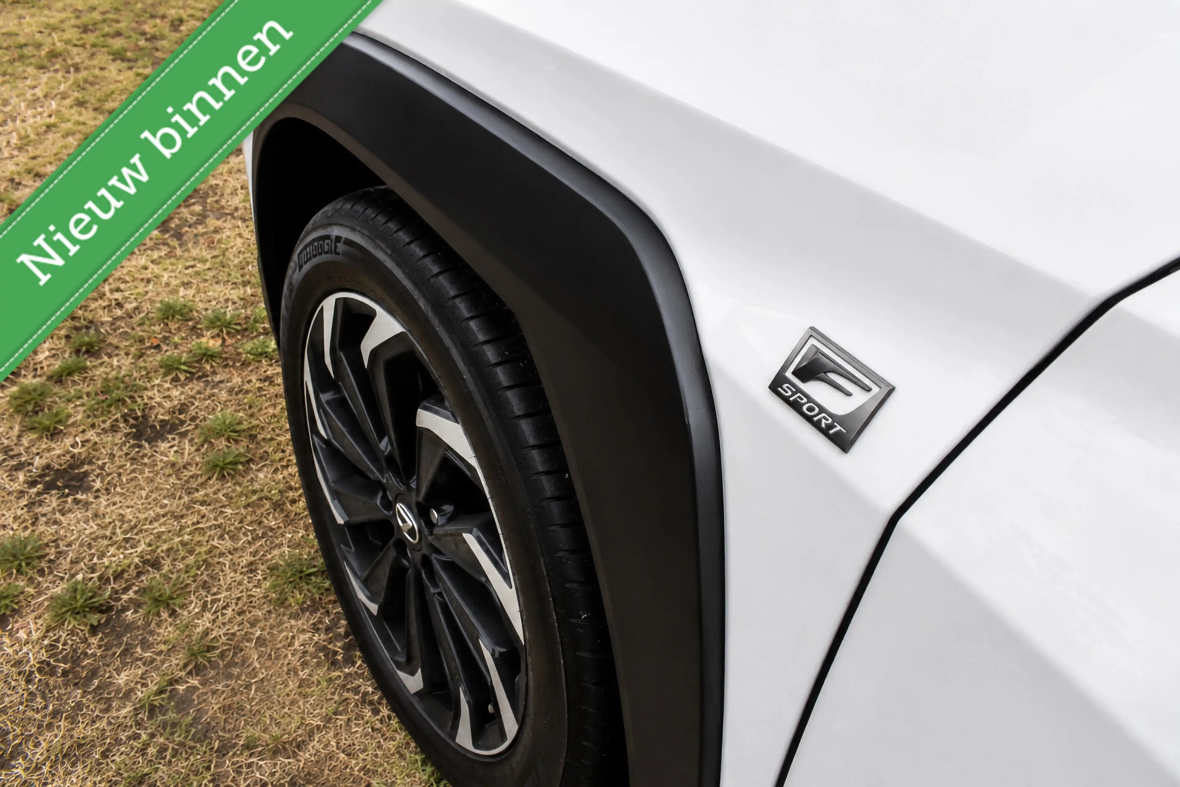 Lexus UX 250h F Sport PANORAMADAK/HEAD UP/LEDER/ETC.! — photo 37