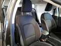 Ford Focus Focus  SW 1.5 ecoblue Business 120cv Mod 2022 Grigio - thumbnail 8