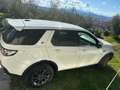 Land Rover Discovery Sport Discovery Sport 2.2 td4 SE awd 150cv auto Bianco - thumbnail 3