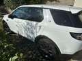 Land Rover Discovery Sport Discovery Sport 2.2 td4 SE awd 150cv auto Bianco - thumbnail 4