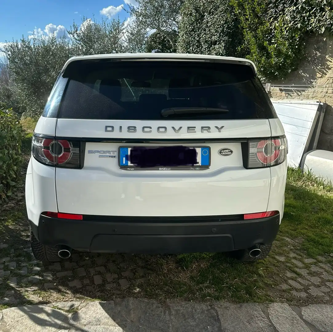 Land Rover Discovery Sport Discovery Sport 2.2 td4 SE awd 150cv auto Bianco - 2