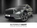 Skoda Enyaq 85 Grau - thumbnail 1