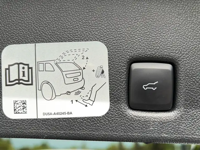 Ford Kuga view 28