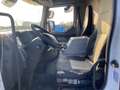 Renault RENAULT TRUCKS Alb - thumbnail 6