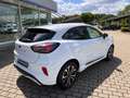 Ford Puma ST-Line X Alarmanlage; Winterpaket Weiß - thumbnail 7