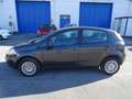 Fiat Punto Evo Punto Evo 1.4 5 porte Active Natural Power Nero - thumbnail 2