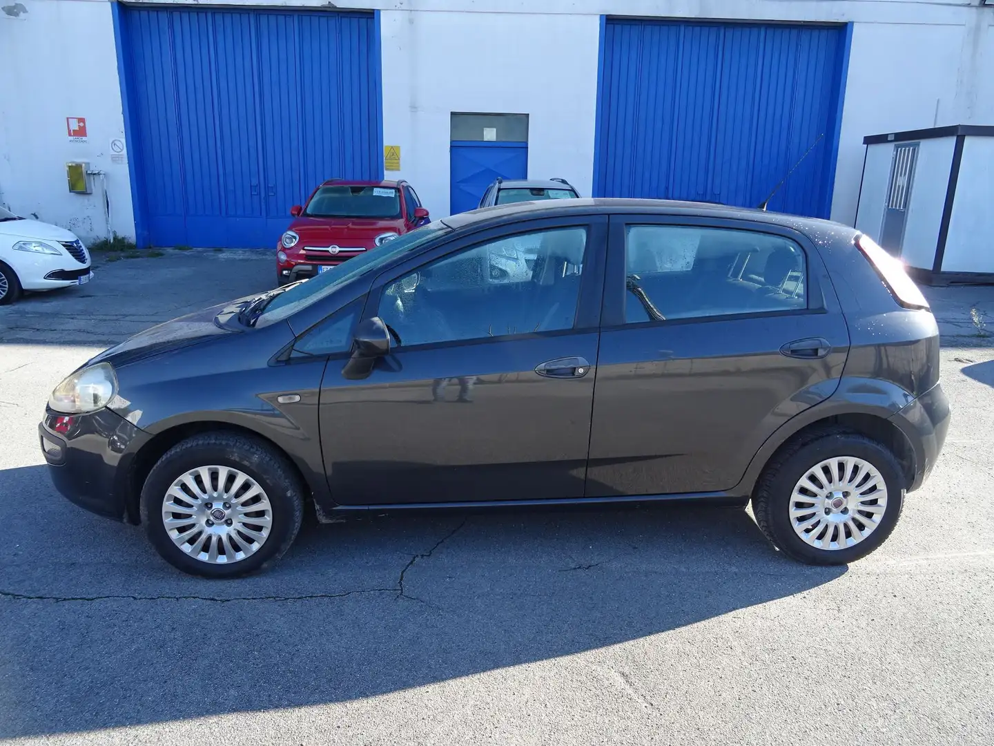 Fiat Punto Evo Punto Evo 1.4 5 porte Active Natural Power Nero - 2
