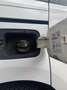 SEAT Alhambra 2.0 TDI 150 CV CR DSG Style Bianco - thumbnail 13