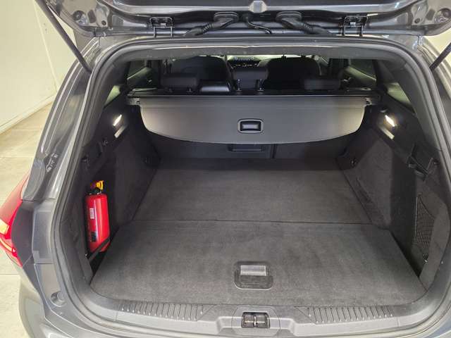 Ford Focus — photo 15