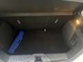 Ford Fiesta Fiesta 5p 1.5 85cv ecoblue IMMACOLATA ! Blanc - thumbnail 15