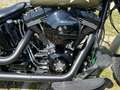 Harley-Davidson Softail Slim S Verde - thumbnail 6
