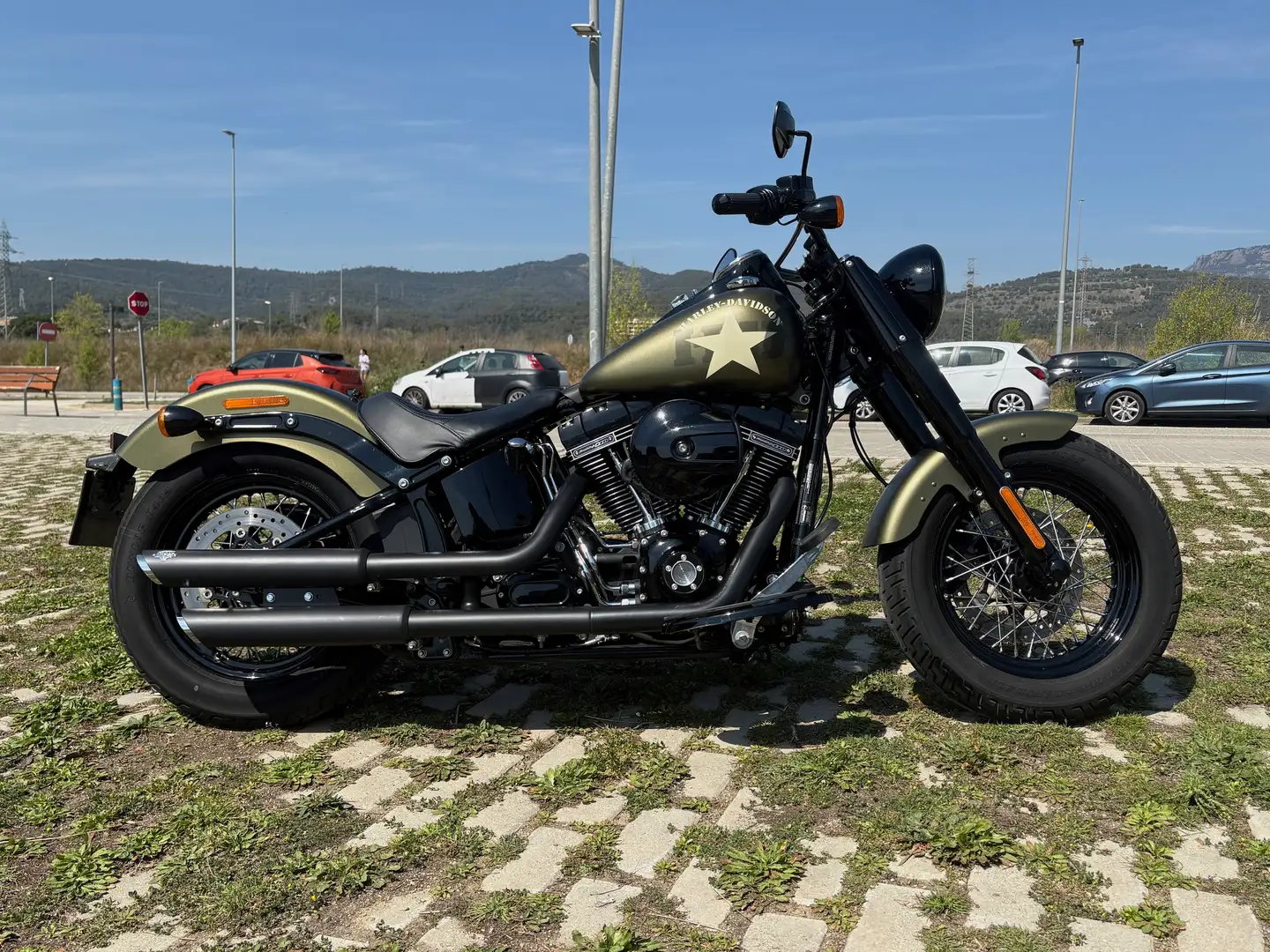 Harley-Davidson Softail Slim S Verde - 1