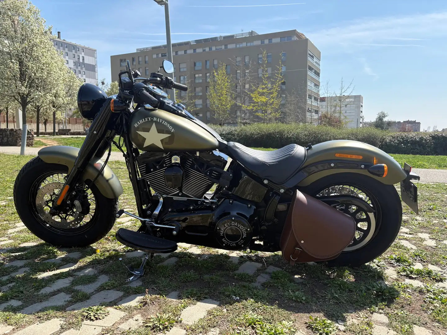 Harley-Davidson Softail Slim S Verde - 2