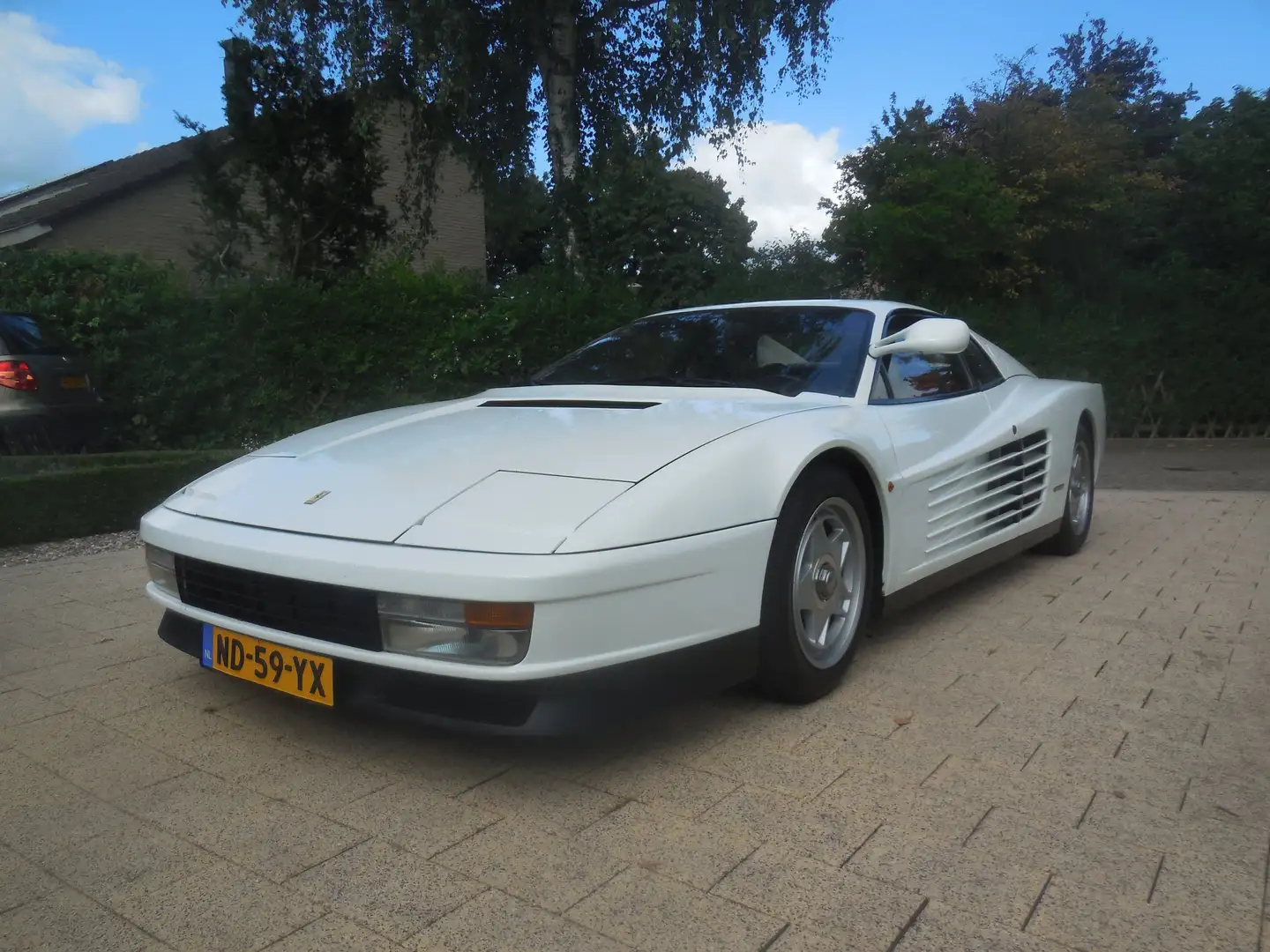 Ferrari Testarossa Collector's item | Origineel NL White - 1