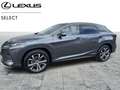 Lexus RX 450h Executive Line Grijs - thumbnail 1