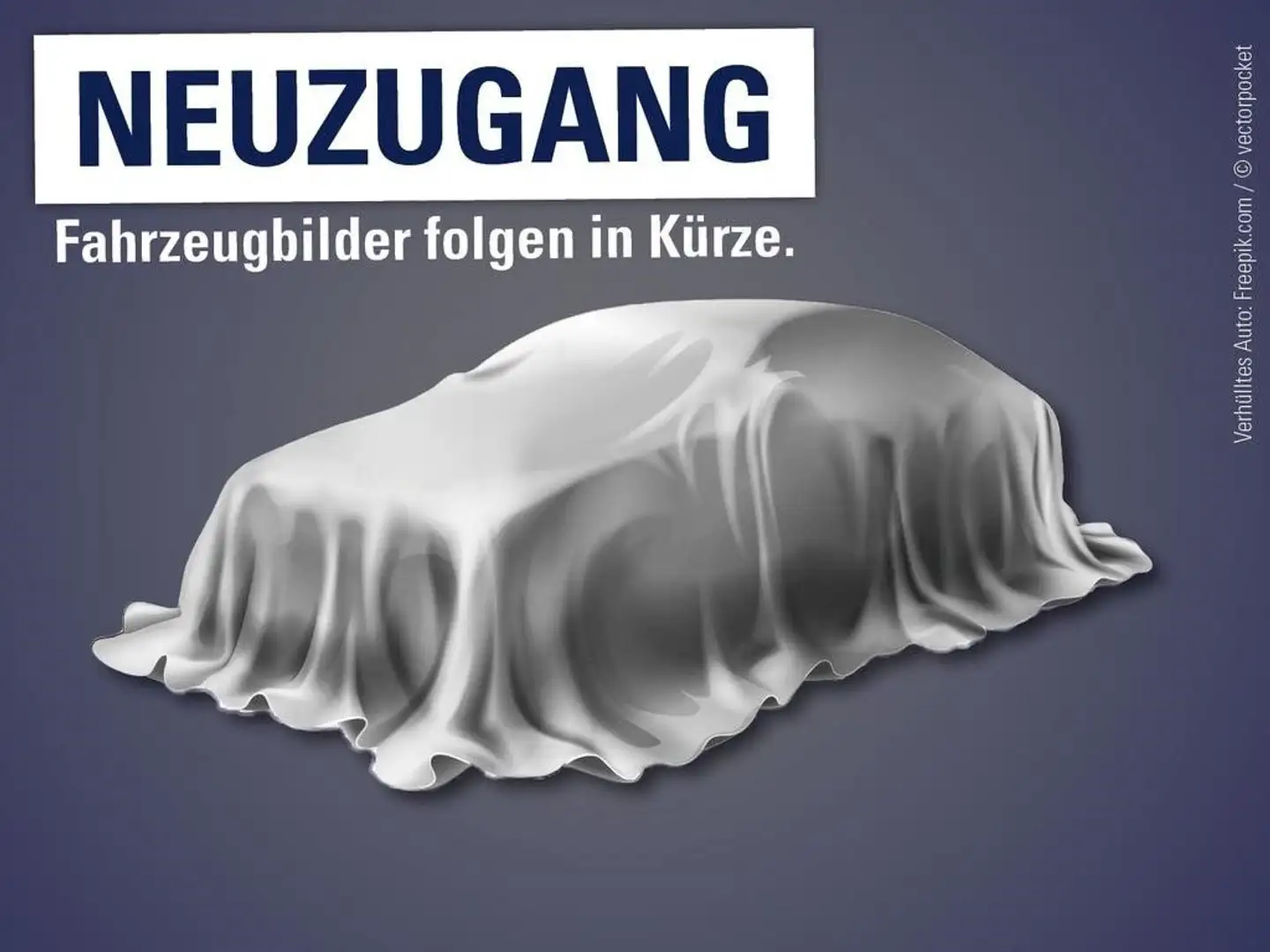 Volkswagen Caddy 2.0 TDI Maxi Trendline Grau - 1