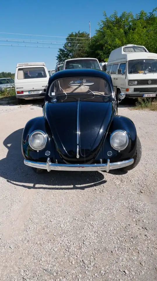 Volkswagen Coccinelle Split De 1950, Finition Export (pare Choc Et Baguette Chromée), foto 6