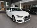Audi A4 35TDI Avant advanced LED ACC AHK R.CAM Bianco - thumbnail 3