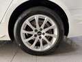 Audi A4 35TDI Avant advanced LED ACC AHK R.CAM Blanc - thumbnail 19